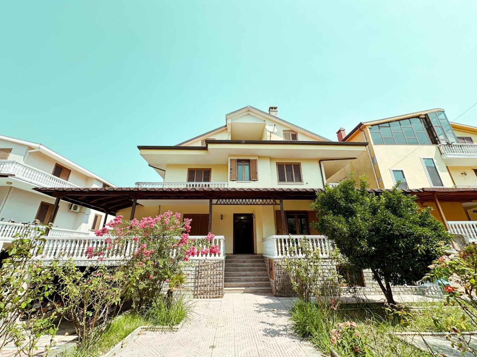 Vizion Szkodra