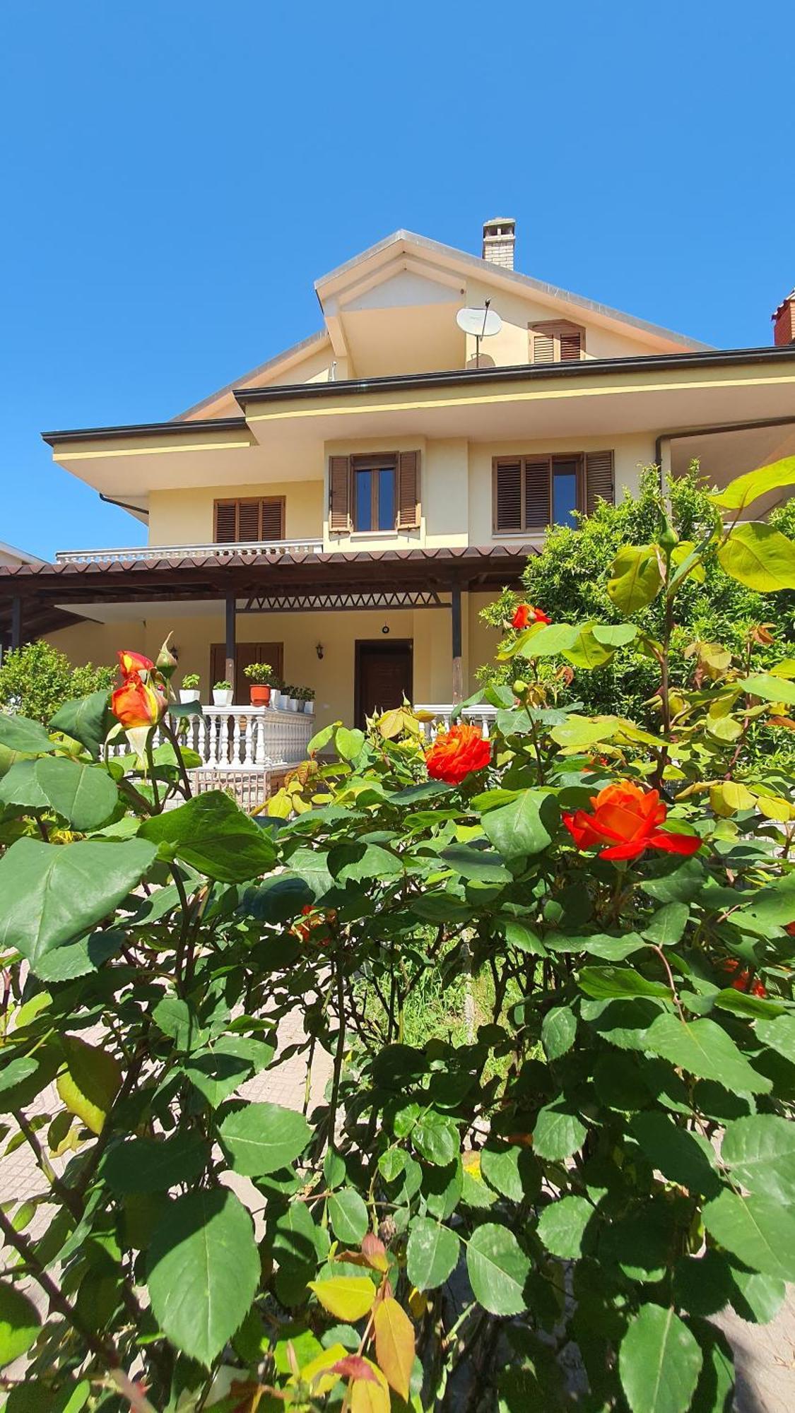 Vizion Hotel Szkodra
